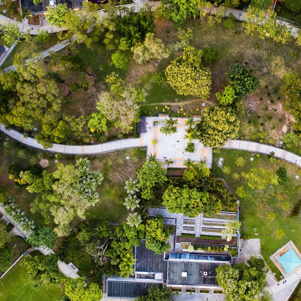 Innovative Landscaping Solutions for Stunning Outdoor Spaces